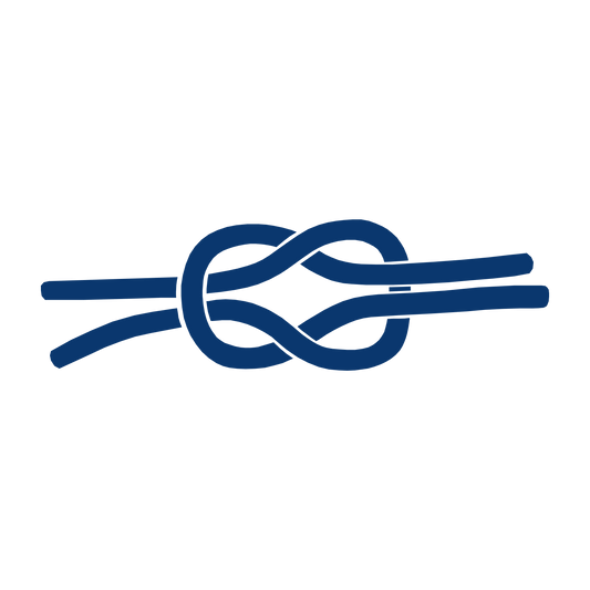Reivisolmu